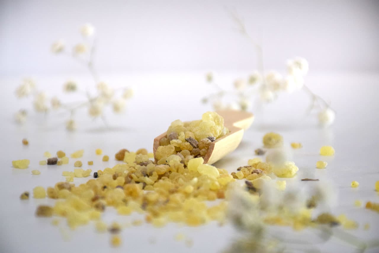Exploring the Research Behind Mastic Gum's Properties