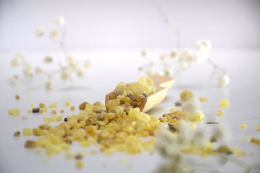 Exploring the Research Behind Mastic Gum's Properties